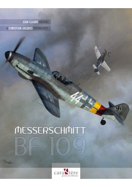 Messerschmitt Bf 109...
