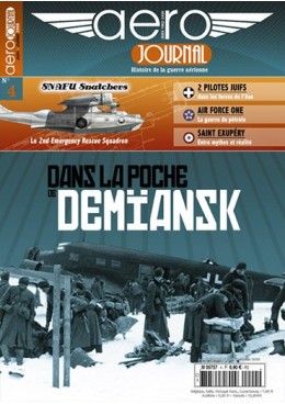 Aérojournal n°4 - Dans la poche de Demïansk - Le programme foudroyé
